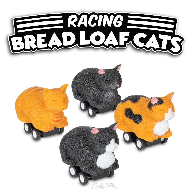 Racing Bread Loaf Cat Pull ‘n Go Toy (assorted colors)