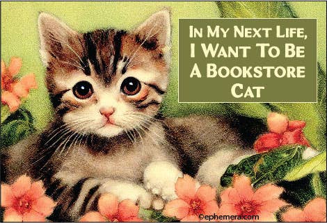 In My Next Life, I Want to Be a Bookstore Cat Magnet