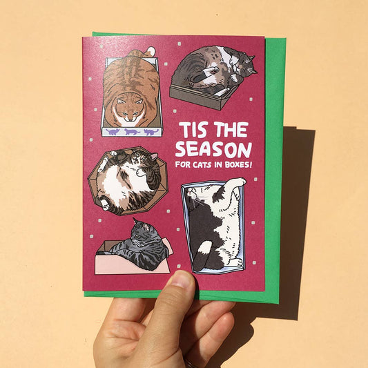 Tis The Season of Cats in Boxes Card