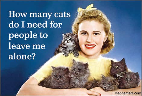 How Many Cats Do I Need For People To Leave Me Alone? Magnet