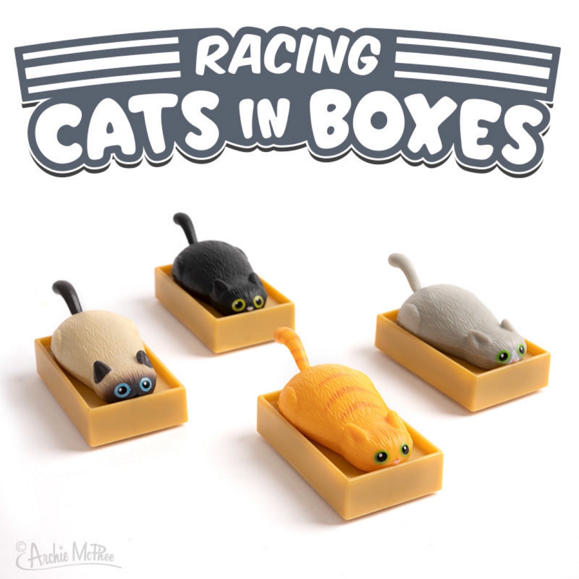 Racing Cats in Boxes Pull 'n Go Toy (assorted colors) – Cat on the